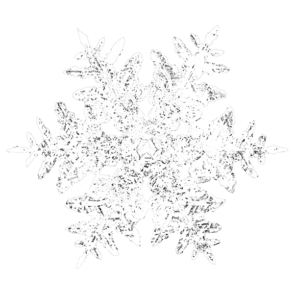 Caldera Snowflake